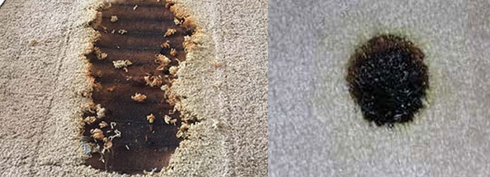 Carpet Burn Repair Parkerville