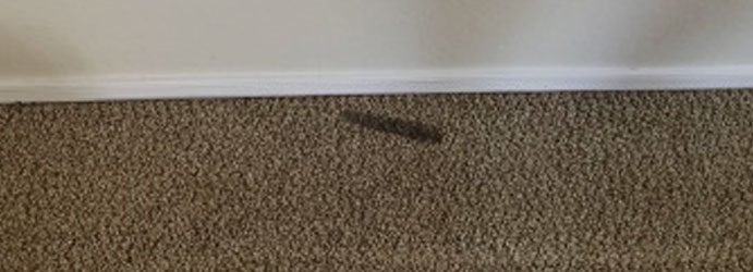 Carpet Burn Repair Reservoir