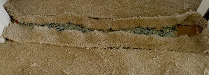 Carpet Repair Reservoir