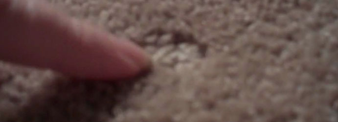 Carpet hole Repair Reservoir