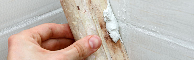 Tile and Grout Sealing Quinns Rocks